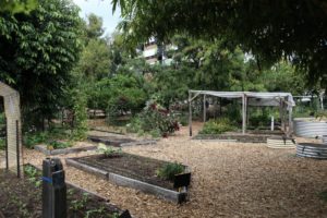 Tips For Backyard Farms Anyone Can Implement